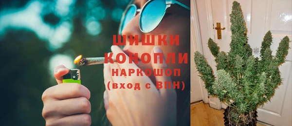 стафф Богданович
