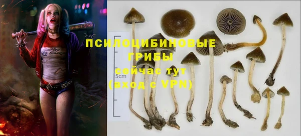 jwh Богородск