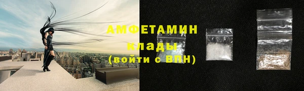 стафф Богданович