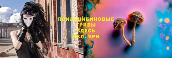 jwh Богородск