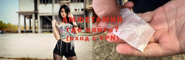 стафф Богданович