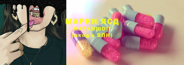 стафф Богданович