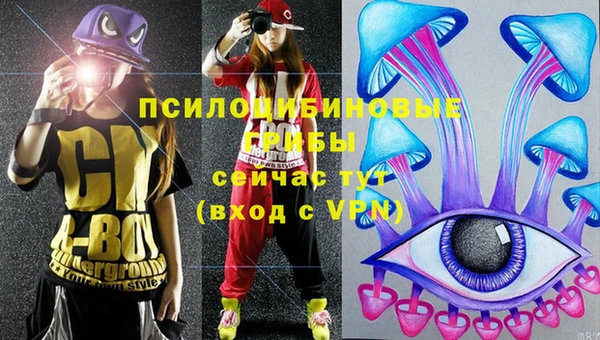 jwh Богородск