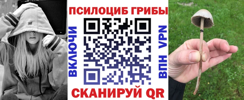 Псилоцибиновые грибы мицелий  Купить где  Саянск 